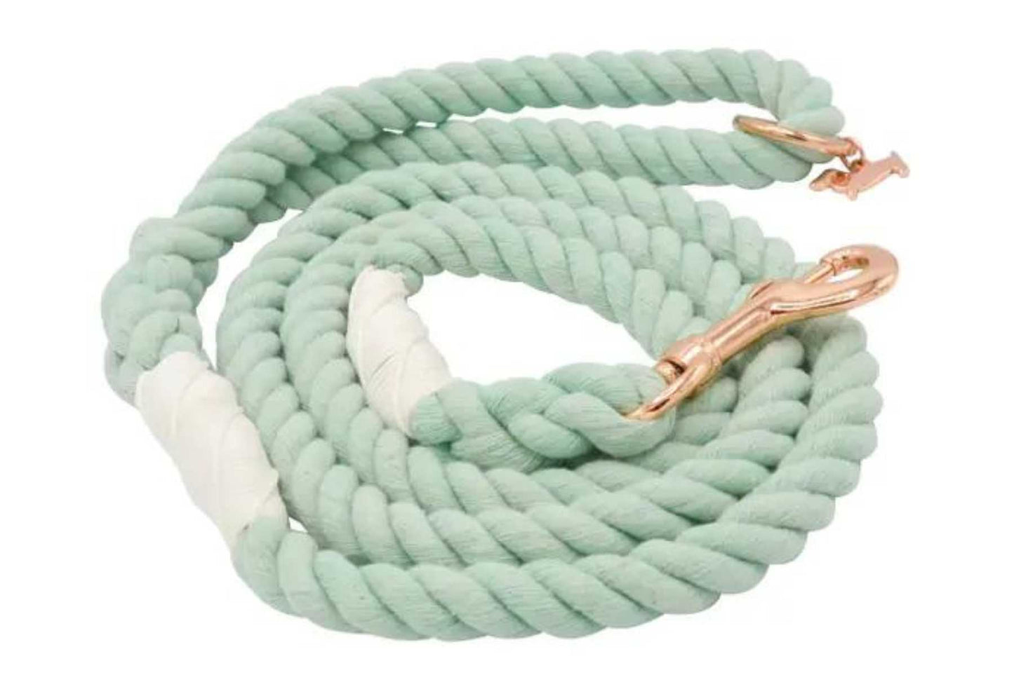 Braided Rope Leash - Aqua