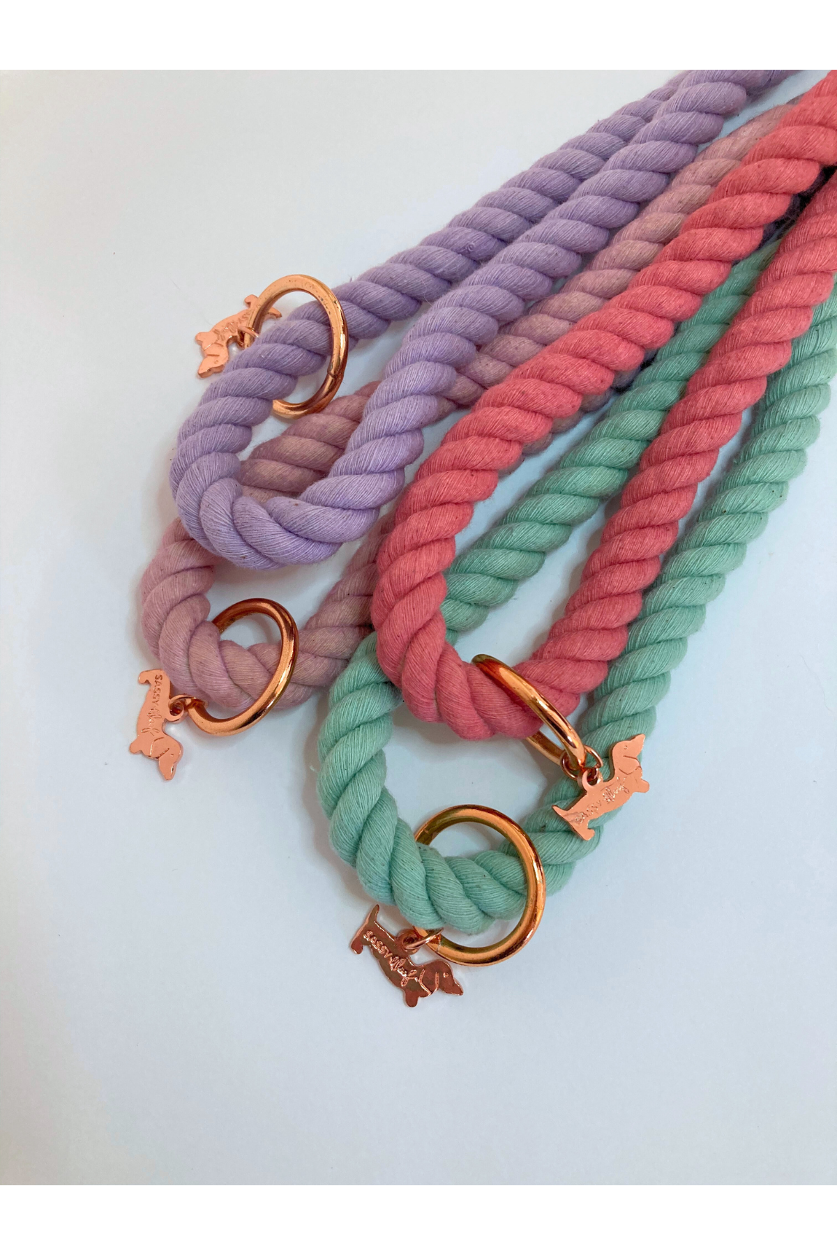 Braided Rope Leash - Pastel Rainbow