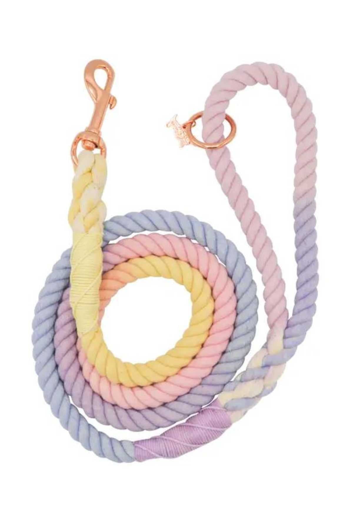 Braided Rope Leash - Pastel Rainbow