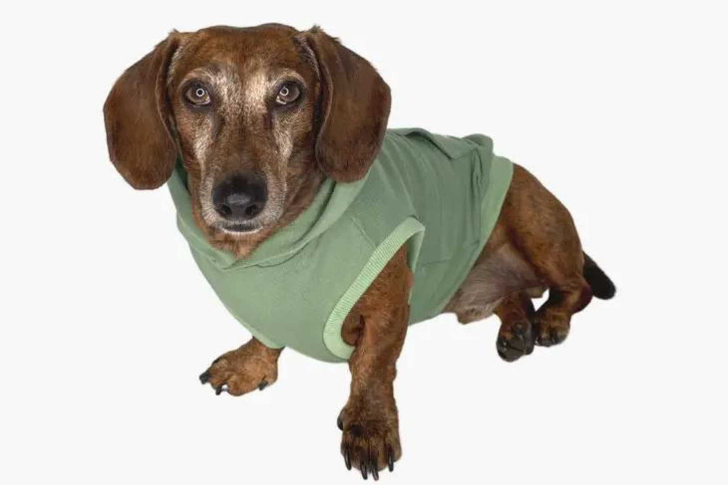 Dog Hoodie - Olive Green Sleeveless Fleece