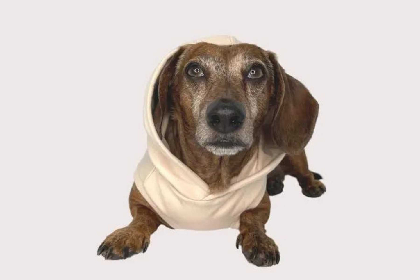 Dog Hoodie - Cream Sleeveless Fleece