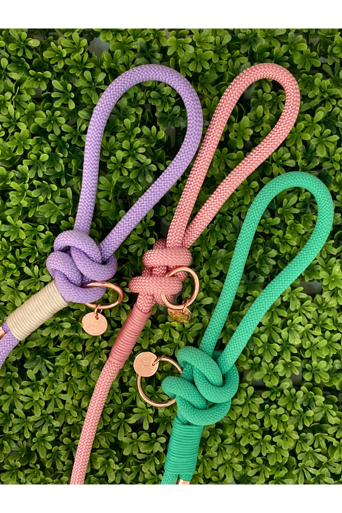 Rope Leash - Vibrant Pink