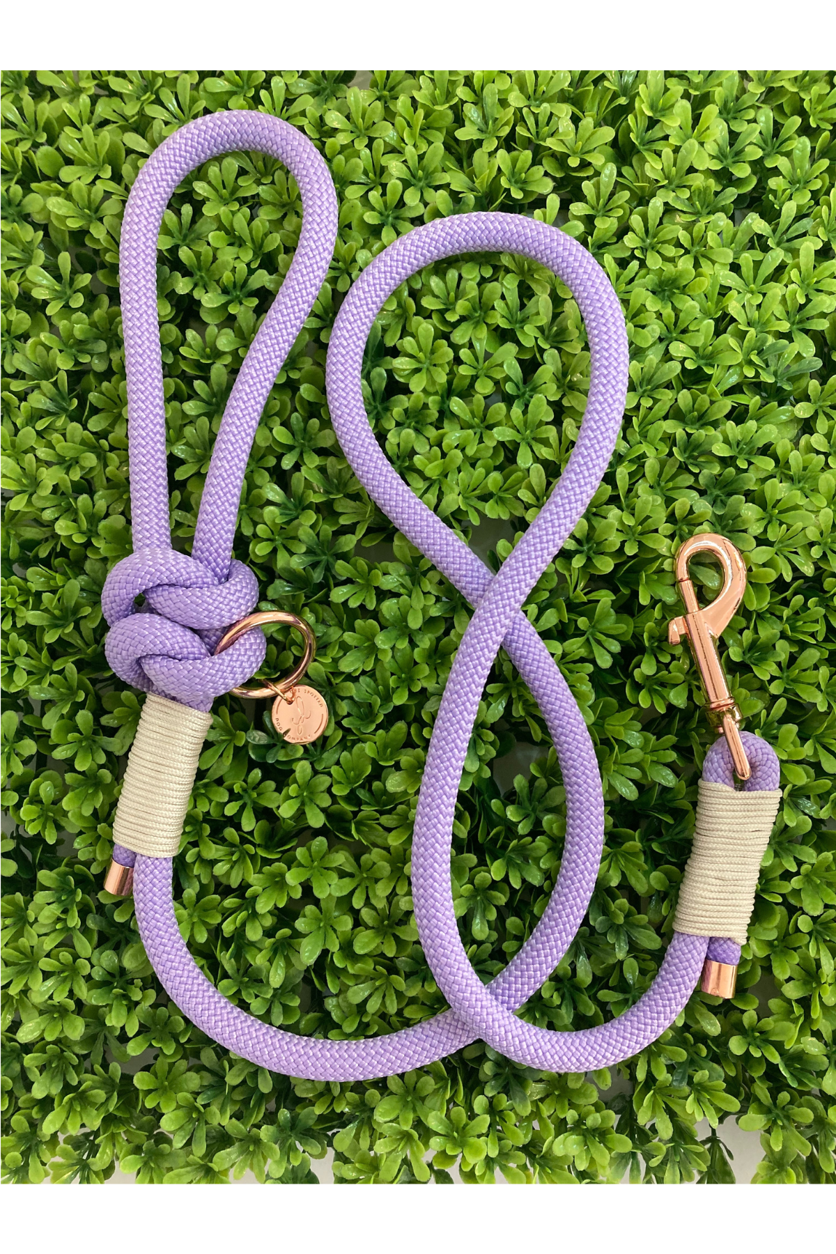 Rope Leash - Vibrant Purple
