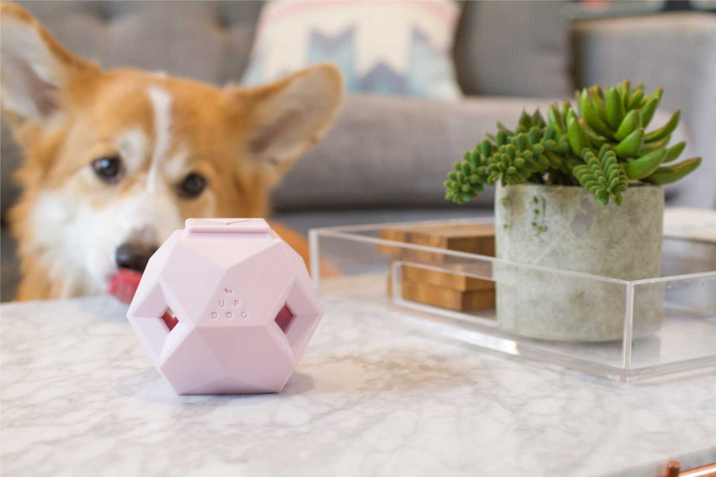 Interactive Dog Puzzle Toy